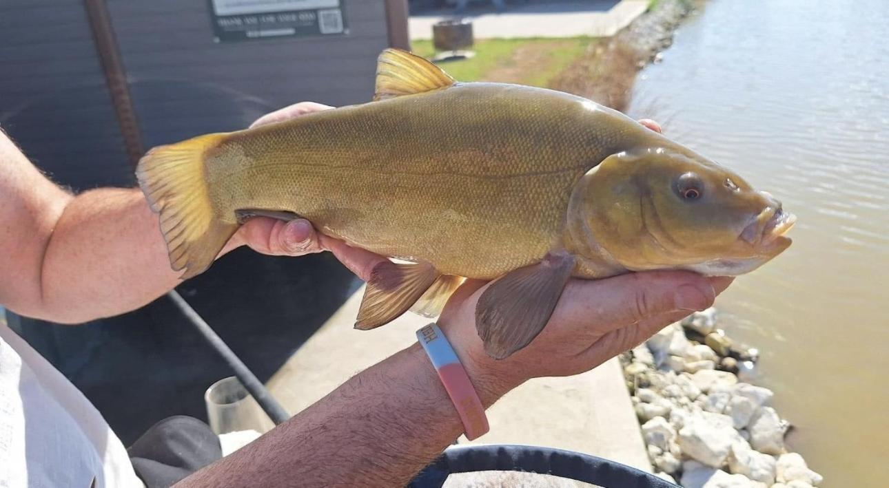 Lakeside Fishing Retreats Boston Chambre photo