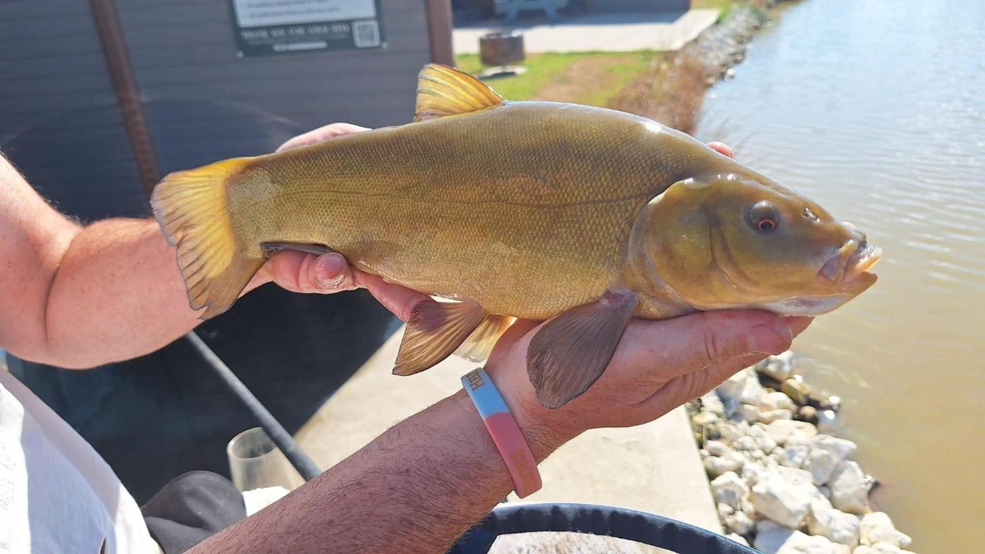 Lakeside Fishing Retreats Boston Chambre photo