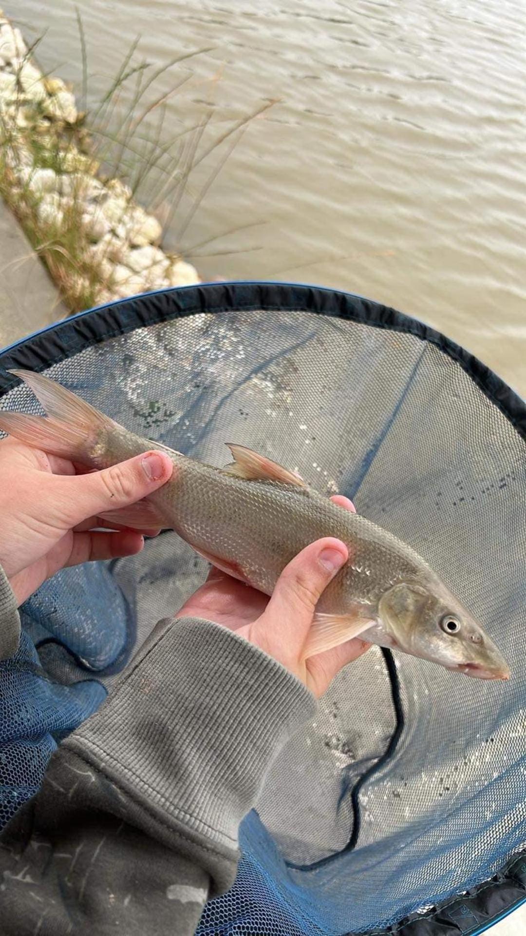 Lakeside Fishing Retreats Boston Chambre photo