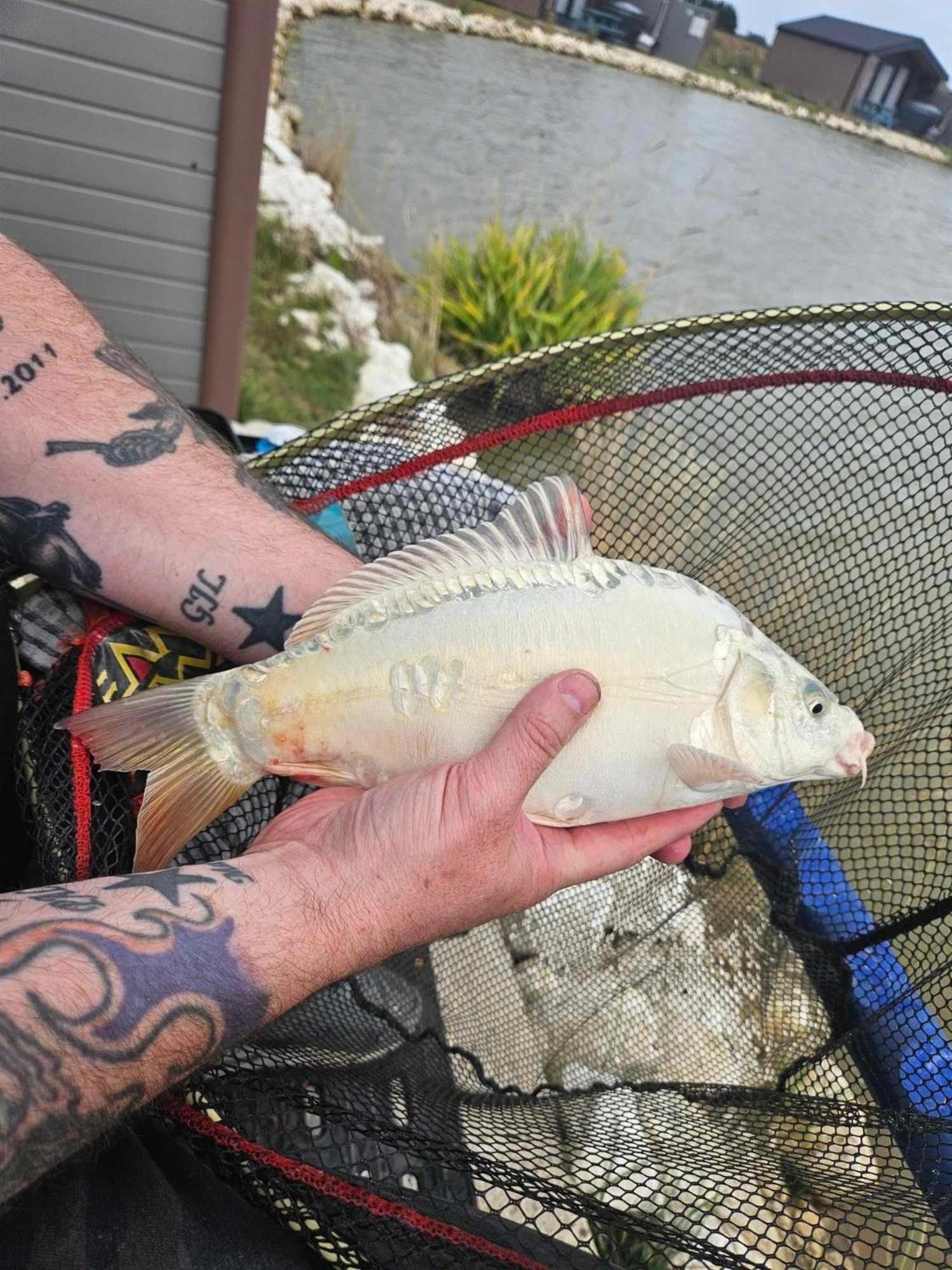 Lakeside Fishing Retreats Boston Chambre photo