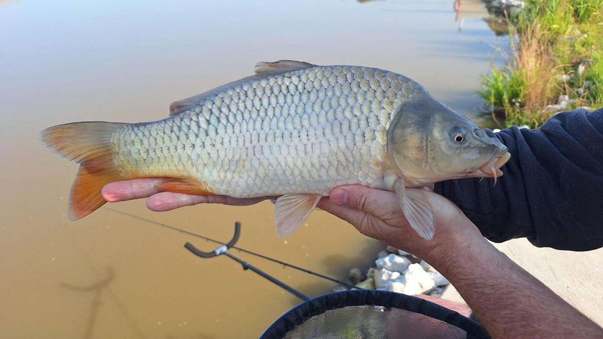 Lakeside Fishing Retreats Boston Chambre photo