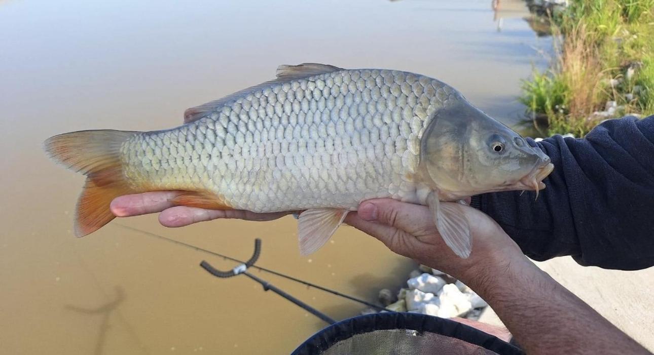 Lakeside Fishing Retreats Boston Chambre photo