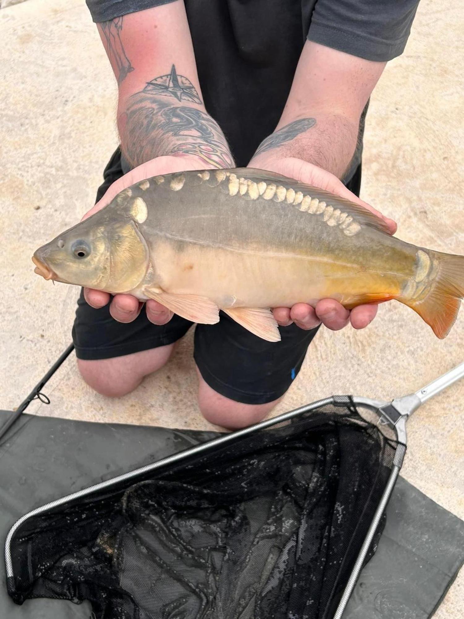 Lakeside Fishing Retreats Boston Chambre photo