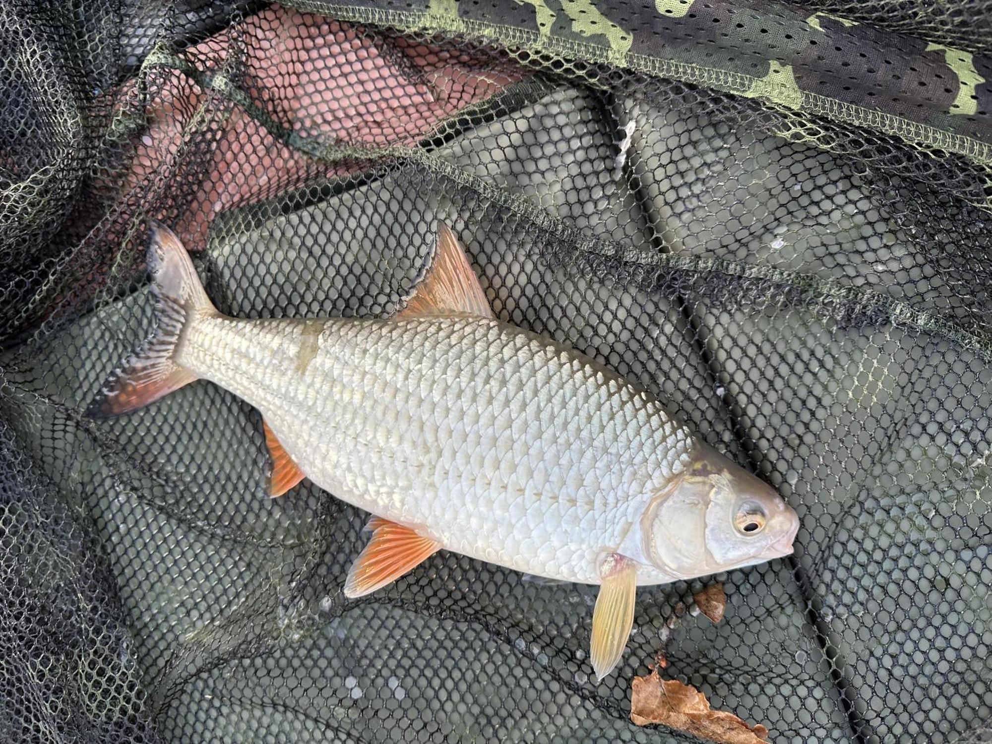 Lakeside Fishing Retreats Boston Chambre photo